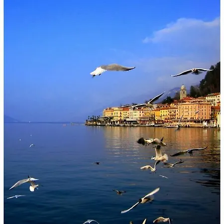 Lejlighed Olivia Sul Lago *